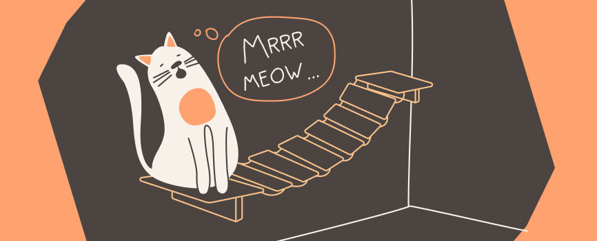 Do cats like heights
