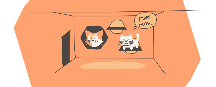 ideas for cats in small apartments