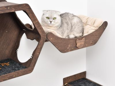 Cat Beds and Hammocks