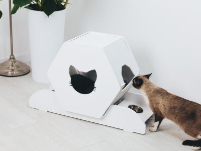 Cat House