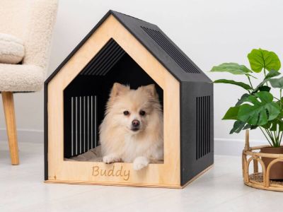 Indoor Dog Houses