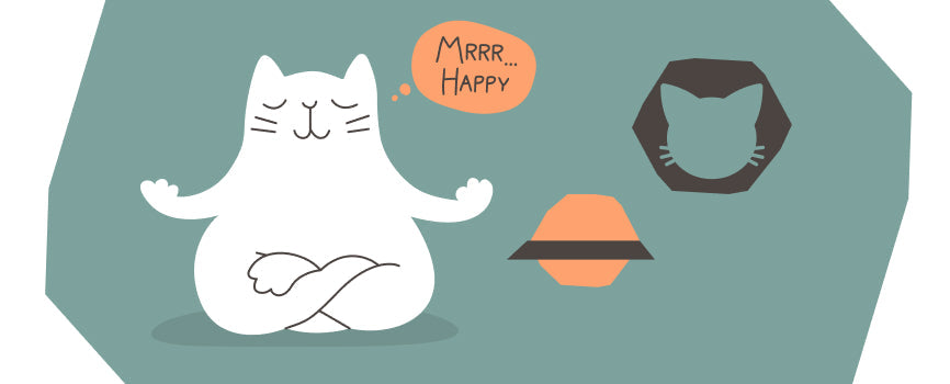 How to Make Your Cat Happy