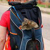 Best Cat Carrier: For Scared and Difficult Cats