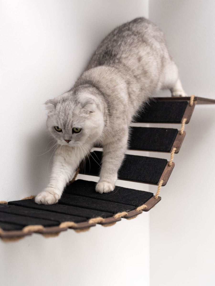 置物 catwalk Amazon.com: MyZoo Avenue | Wall-Mounted Cat Walkway