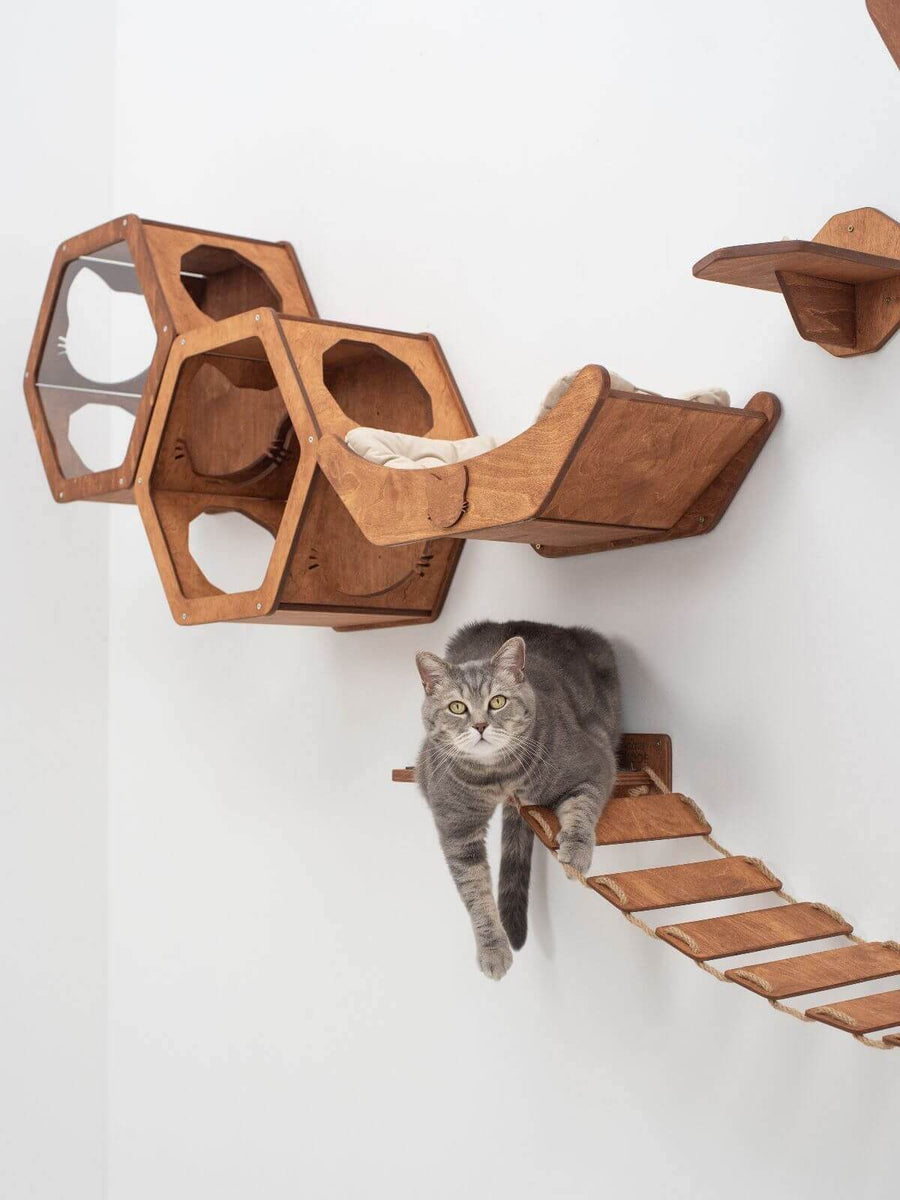 Cat perch shelves best sale