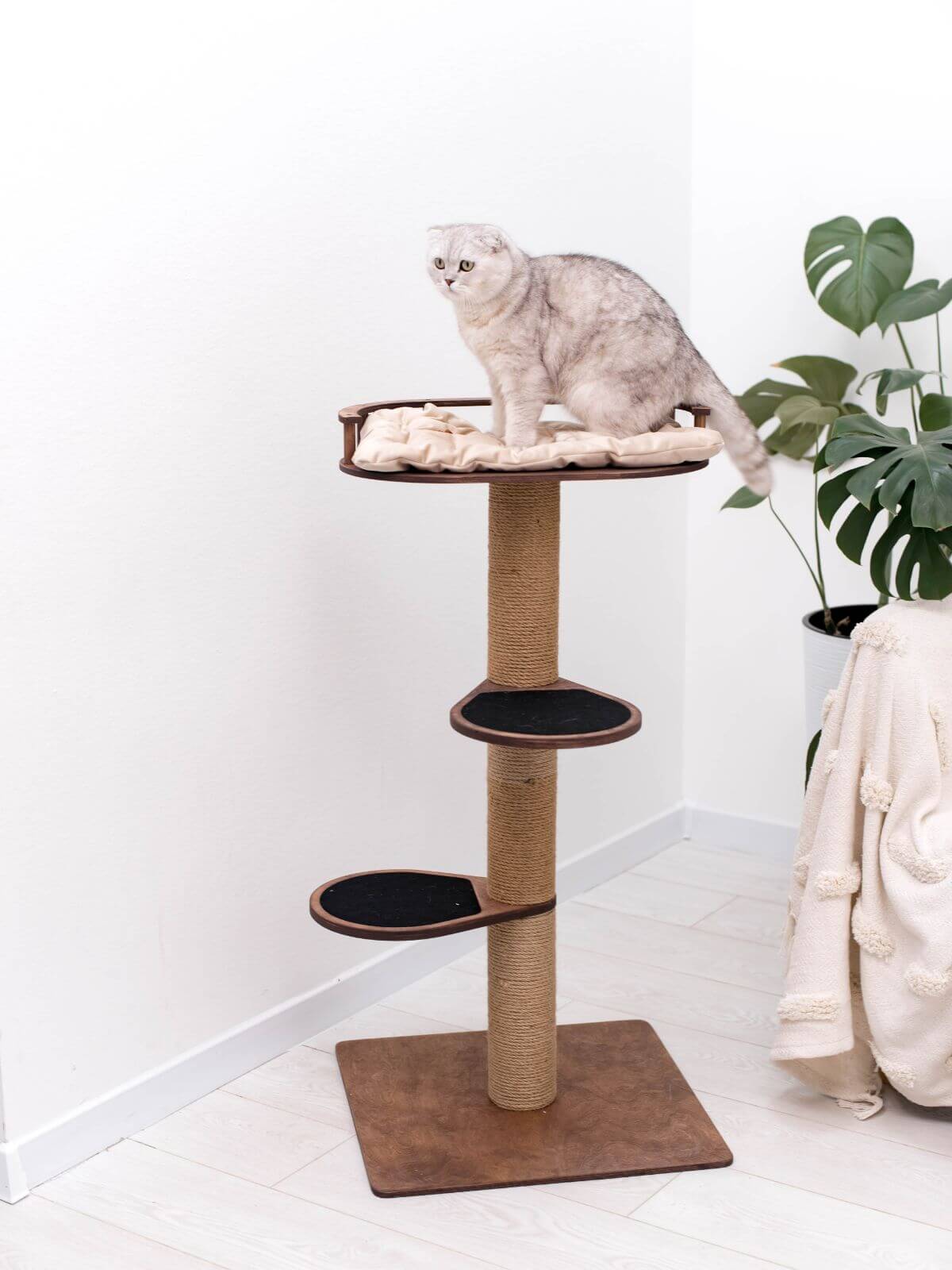 Small Cat Tree Best Price at CatsMode