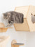 small cat house indoor