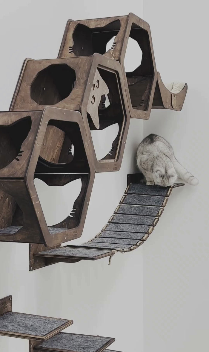 Cat Rope Bridge Oak ➔➔CatsMode