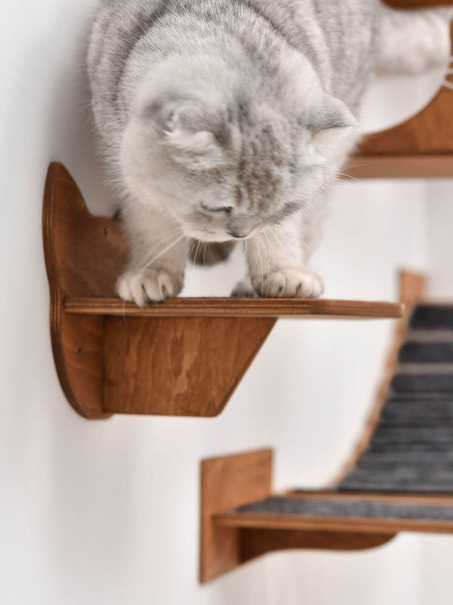 Wall Climbing Steps for Cats