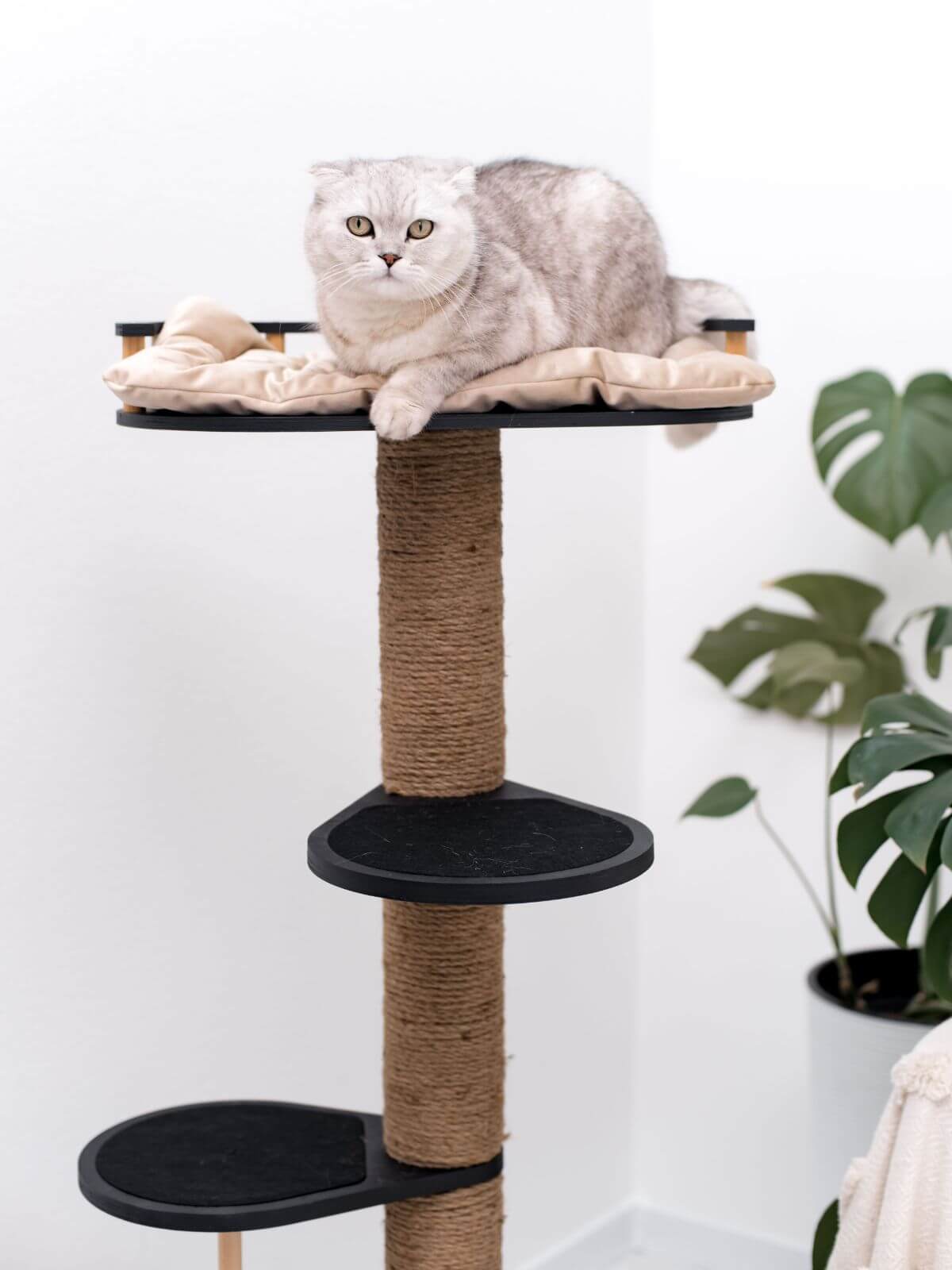 Wooden Cat Tree Best Price at CatsMode
